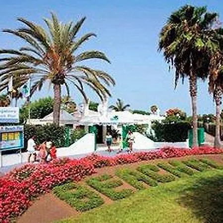 Отель Bungalows Beach Flor